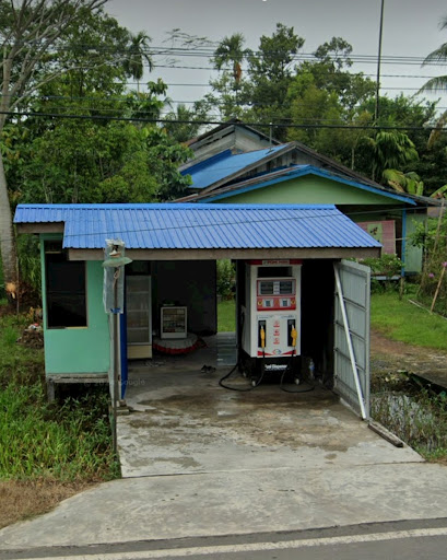 Pom Mini Nanda