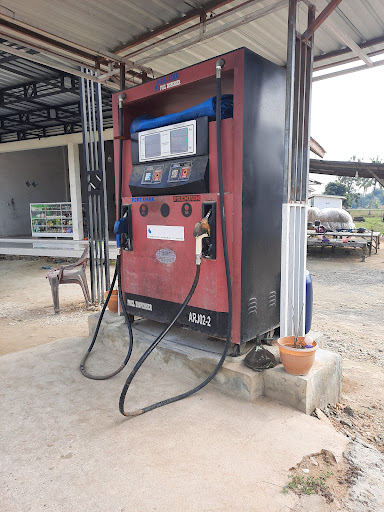 Pom Mini Alfida Rossa