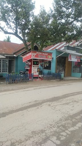 Pom Mini VANJIO